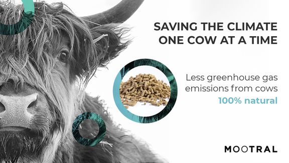 Mootral: Investor Pitch and Q&amp;A